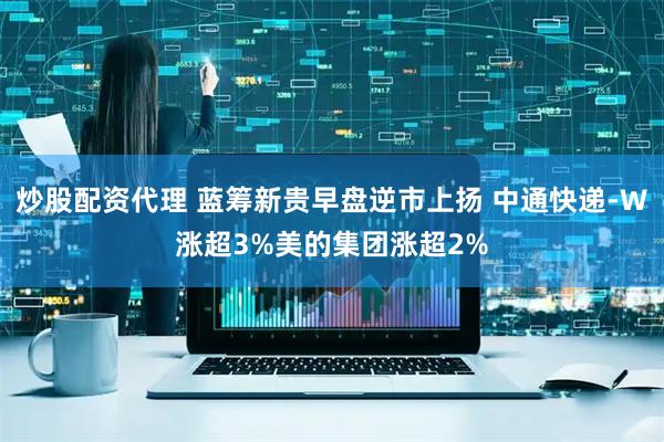 炒股配资代理 蓝筹新贵早盘逆市上扬 中通快递-W涨超3%美的集团涨超2%