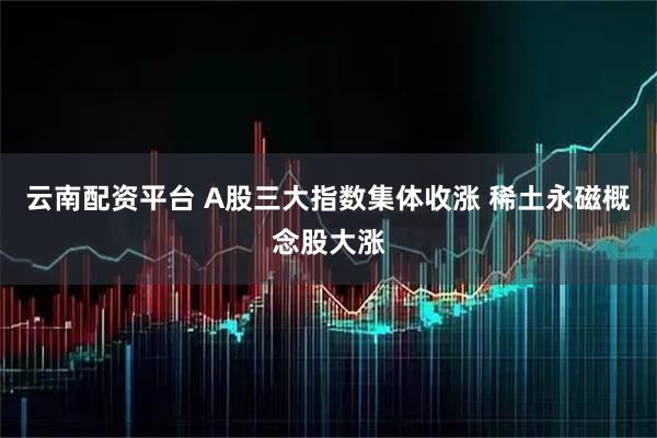 云南配资平台 A股三大指数集体收涨 稀土永磁概念股大涨