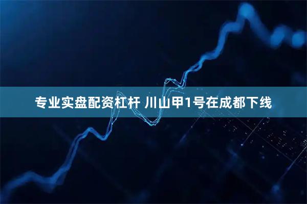 专业实盘配资杠杆 川山甲1号在成都下线