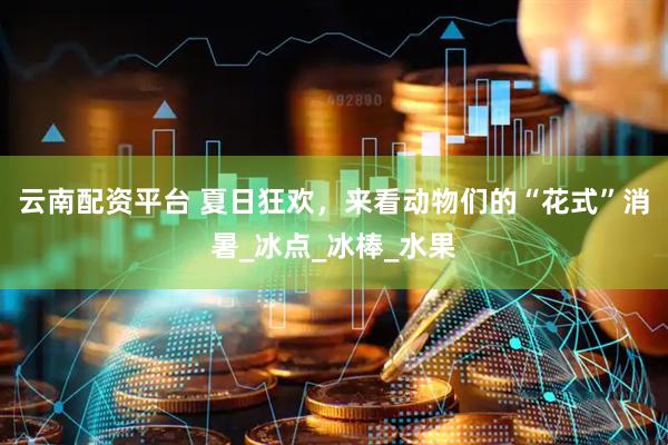 云南配资平台 夏日狂欢，来看动物们的“花式”消暑_冰点_冰棒_水果
