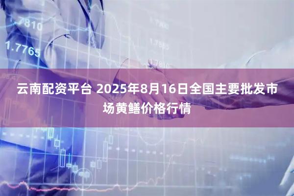 云南配资平台 2025年8月16日全国主要批发市场黄鳝价格行情