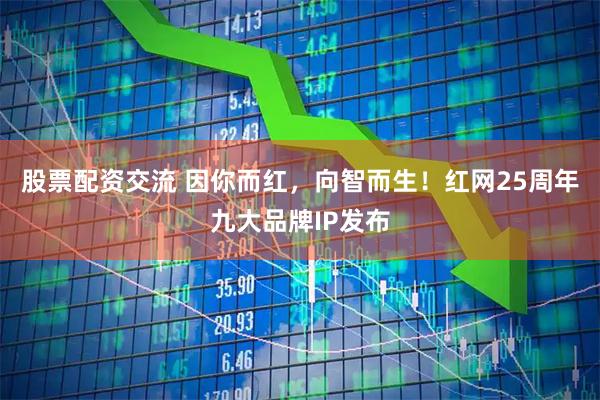 股票配资交流 因你而红，向智而生！红网25周年九大品牌IP发布