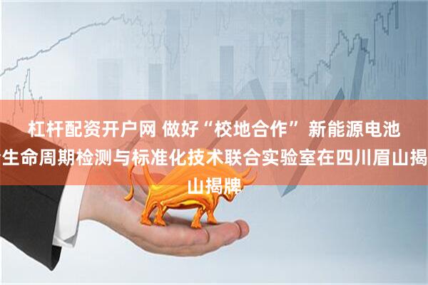 杠杆配资开户网 做好“校地合作” 新能源电池全生命周期检测与标准化技术联合实验室在四川眉山揭牌